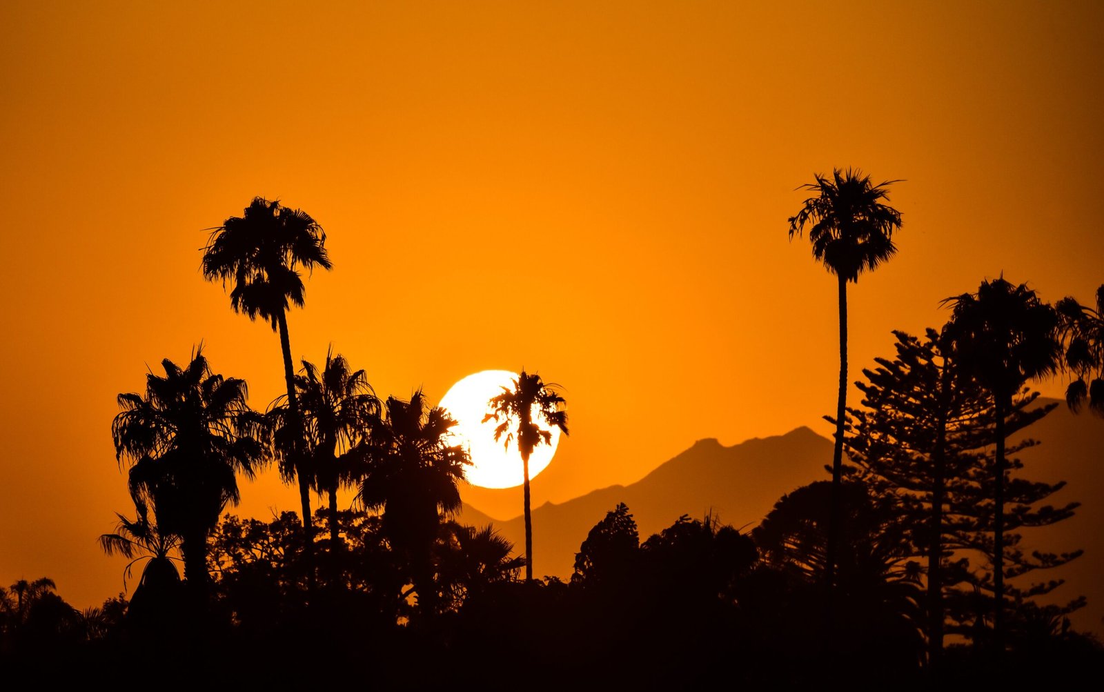 Palm Springs – Yoga Retreats: Finding Zen in the Desert Landscape