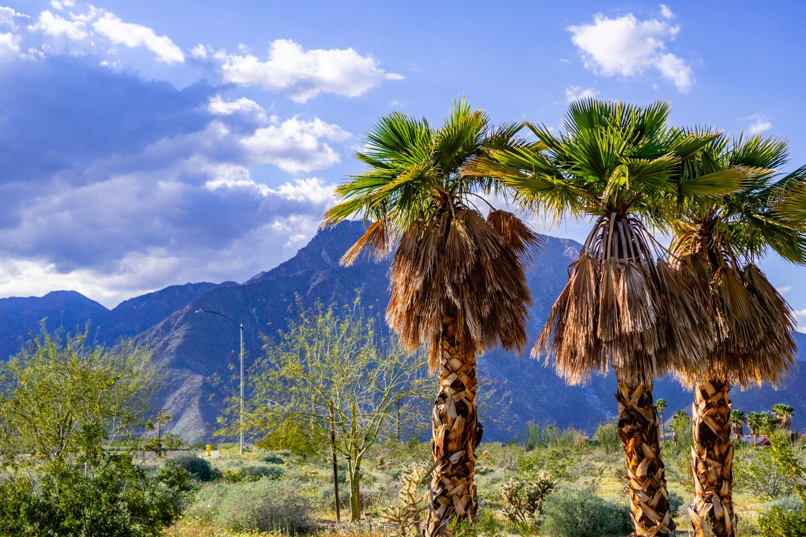 Palm Springs Desert Fitness: Transform Your Workout with Breathtaking Mountain Views