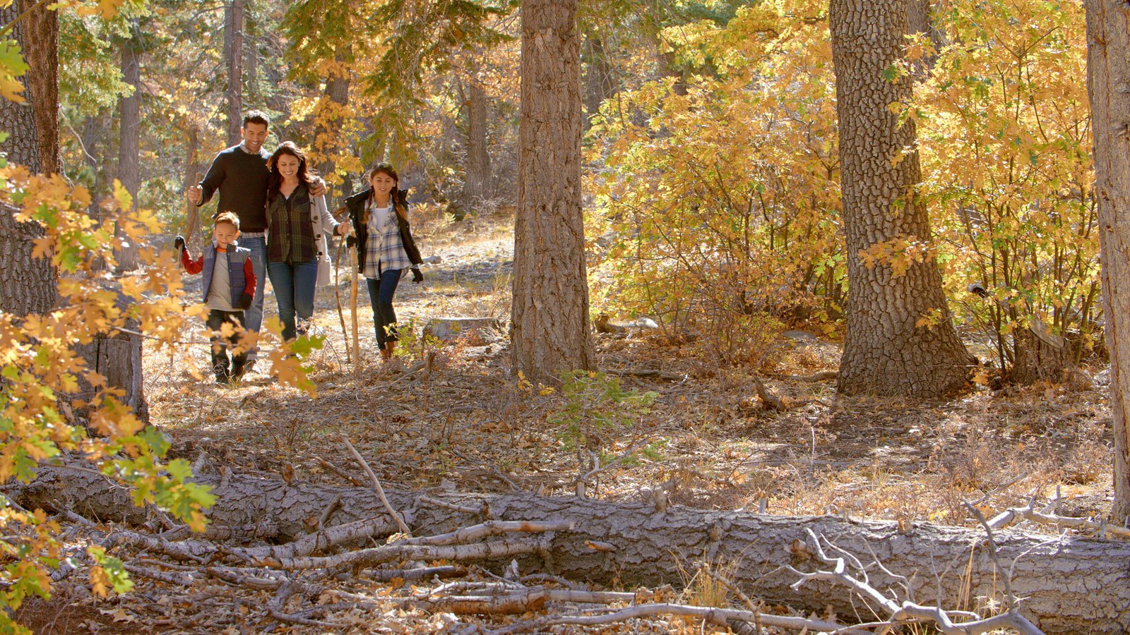 Lake Tahoe Autumn Hiking Adventures: Trails That Showcase Nature’s Masterpiece