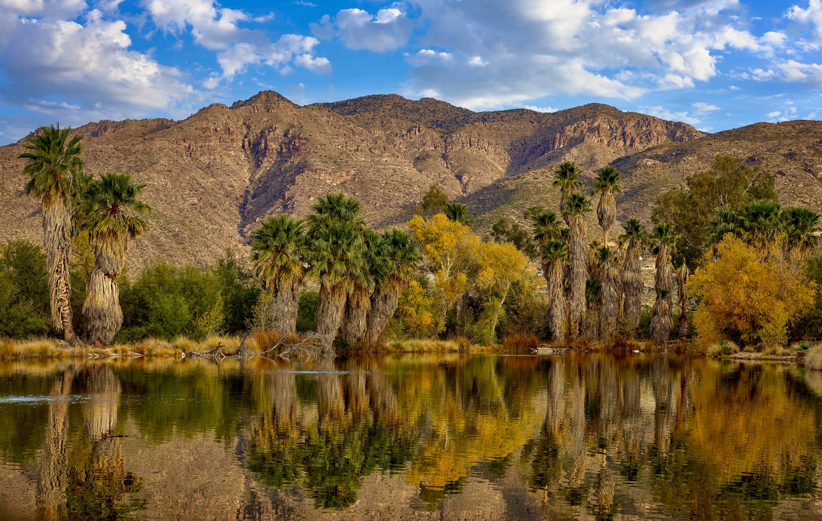PALM SPRINGS DESERT PHOTOGRAPHY EXPEDITIONS