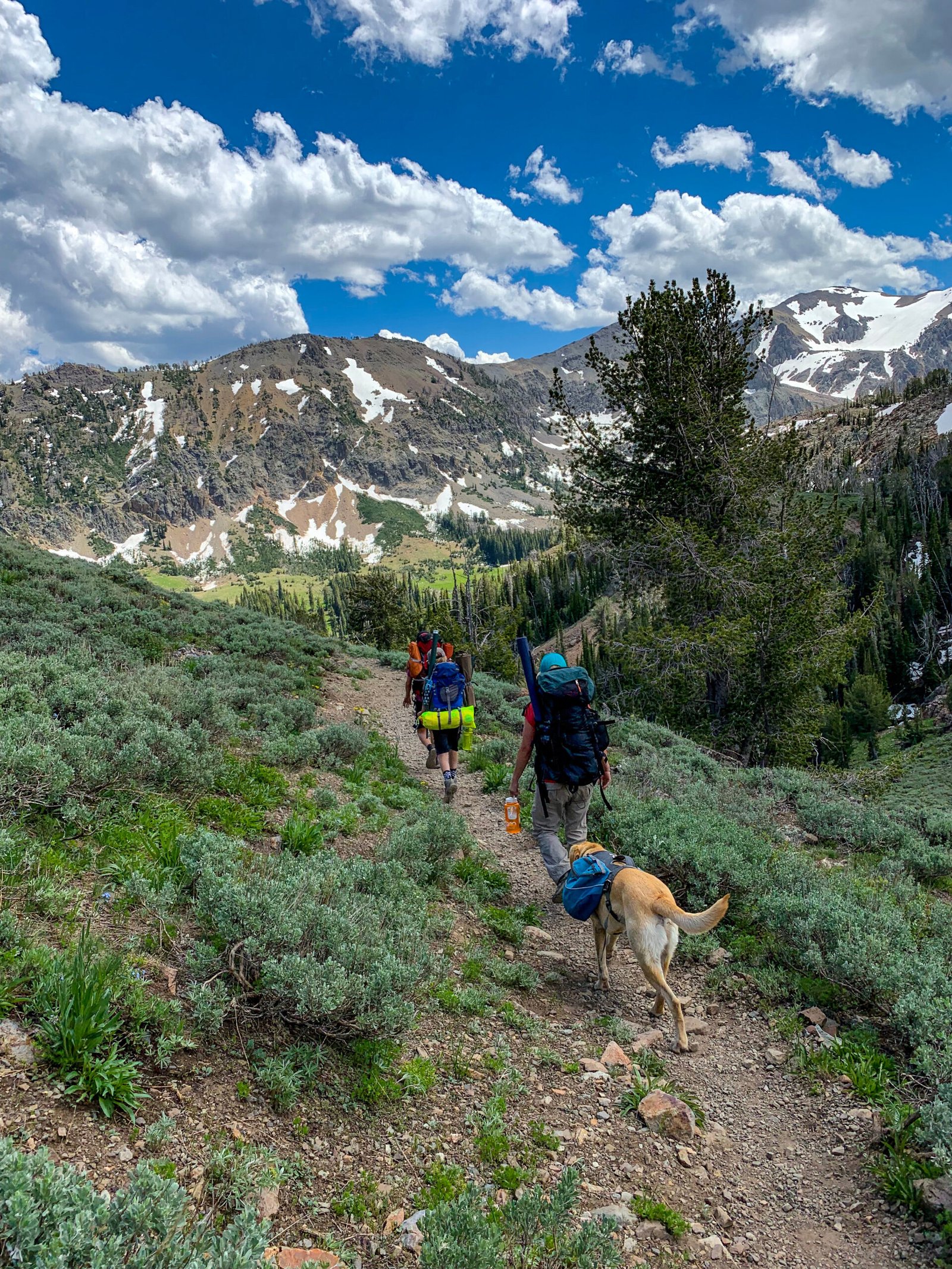 From Beginner to Black Diamond: Navigating Mammoth’s Diverse Ski Runs