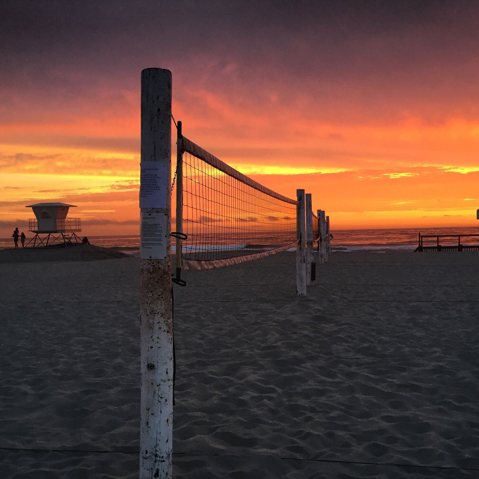 San Diego’s Premier Beach Volleyball Courts: Your Complete Guide to Sand, Sun, and Spikes