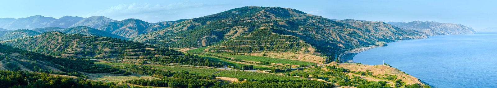 Exclusive Wine Tasting: San Diego County’s Hidden Vineyards