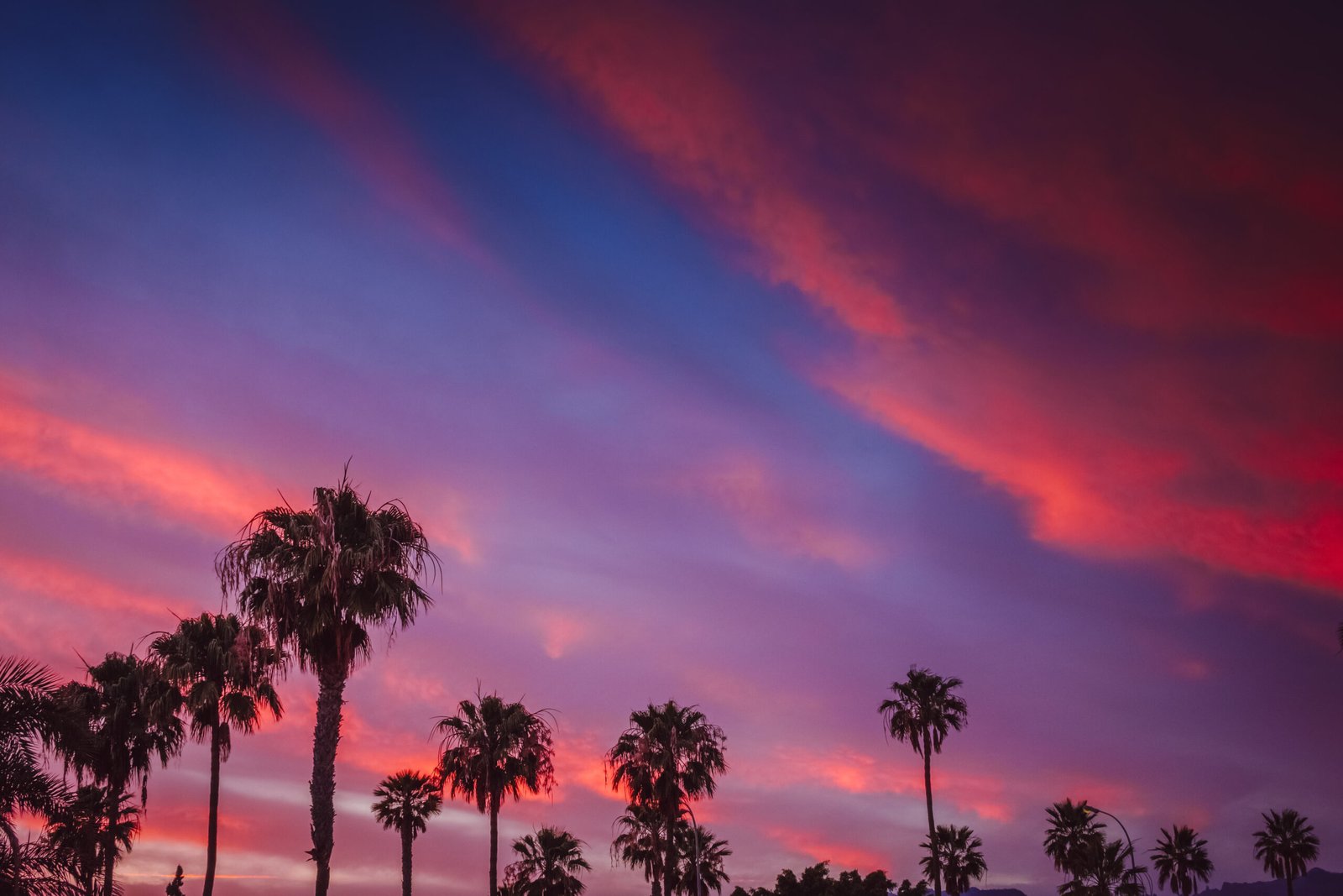 Palm Springs – Yoga Retreats: Finding Zen in the Desert Landscape