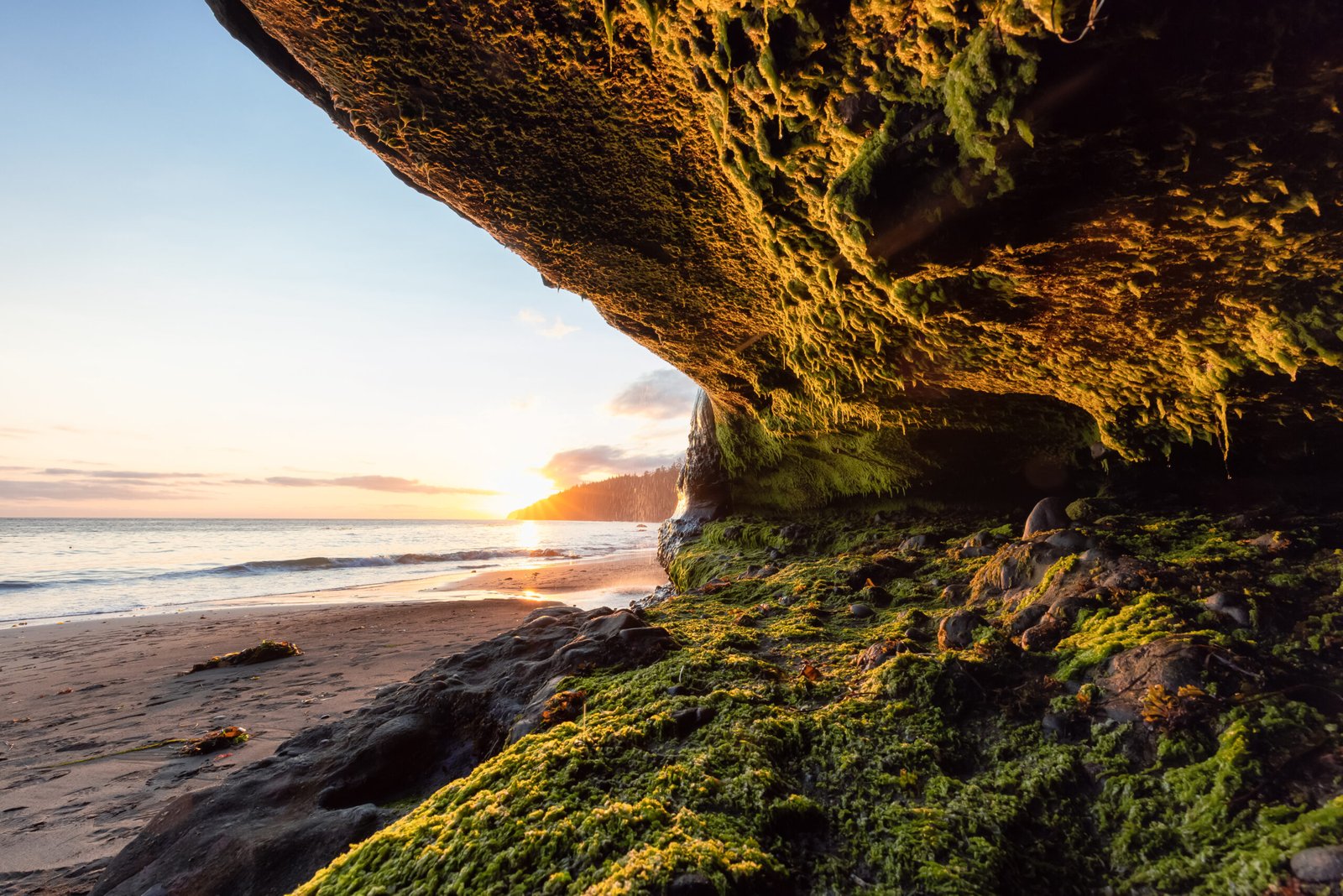 Sunset Cliffs Secret Cave: San Diego’s Hidden Underground Marvel