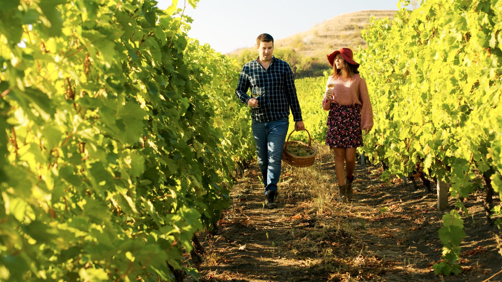 Wine Country Day Trips: Temecula Valley Adventures from Palm Springs