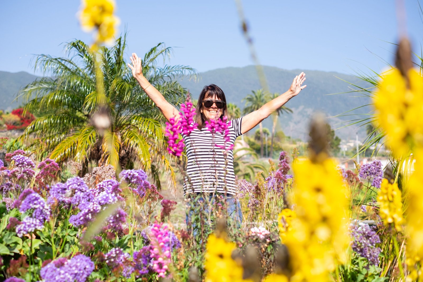 Palm Springs Spring Wildflower Season: Where Desert Dreams Bloom in Technicolor