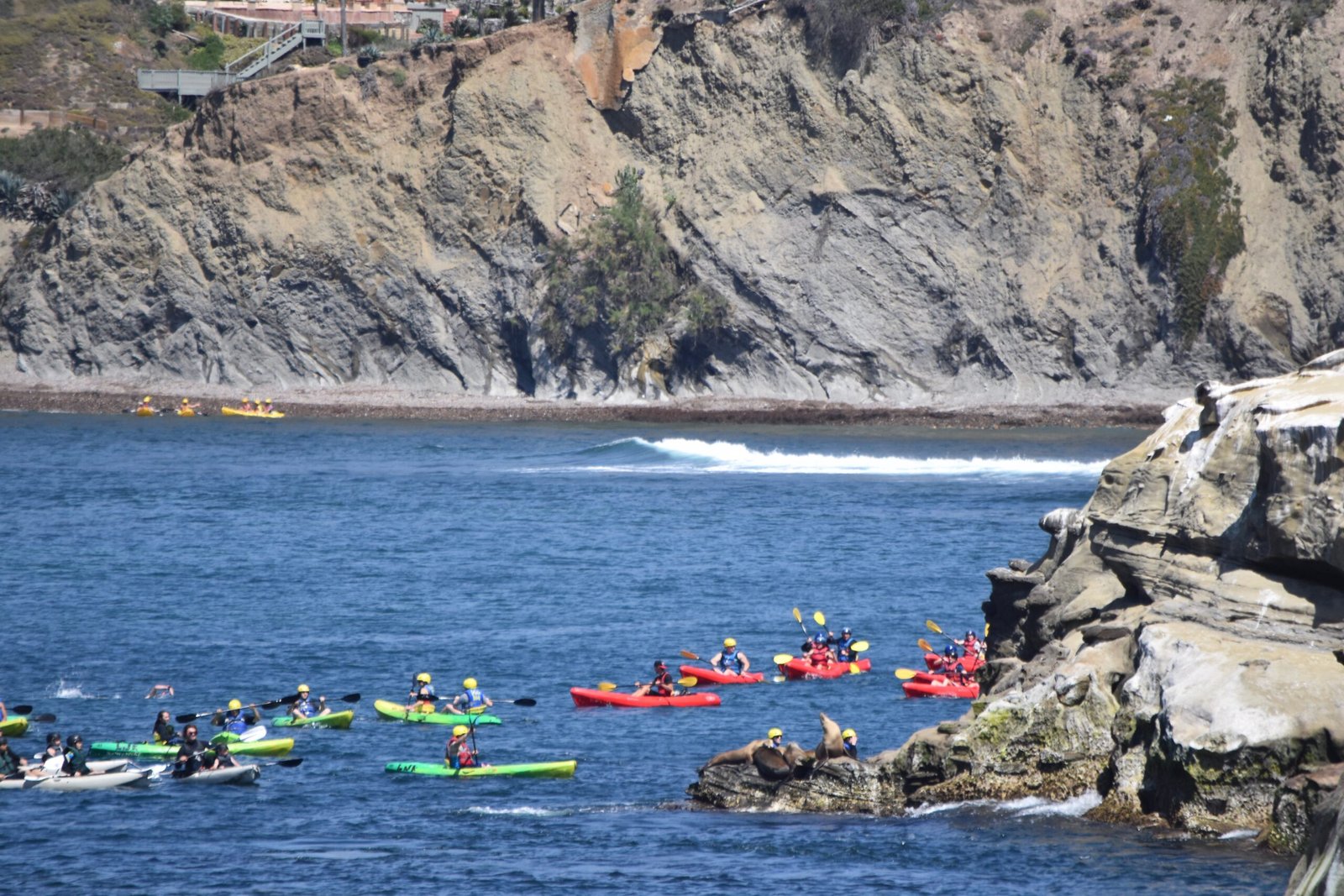 Kayaking La Jolla: Paddle with Sea Lions and Leopard Sharks