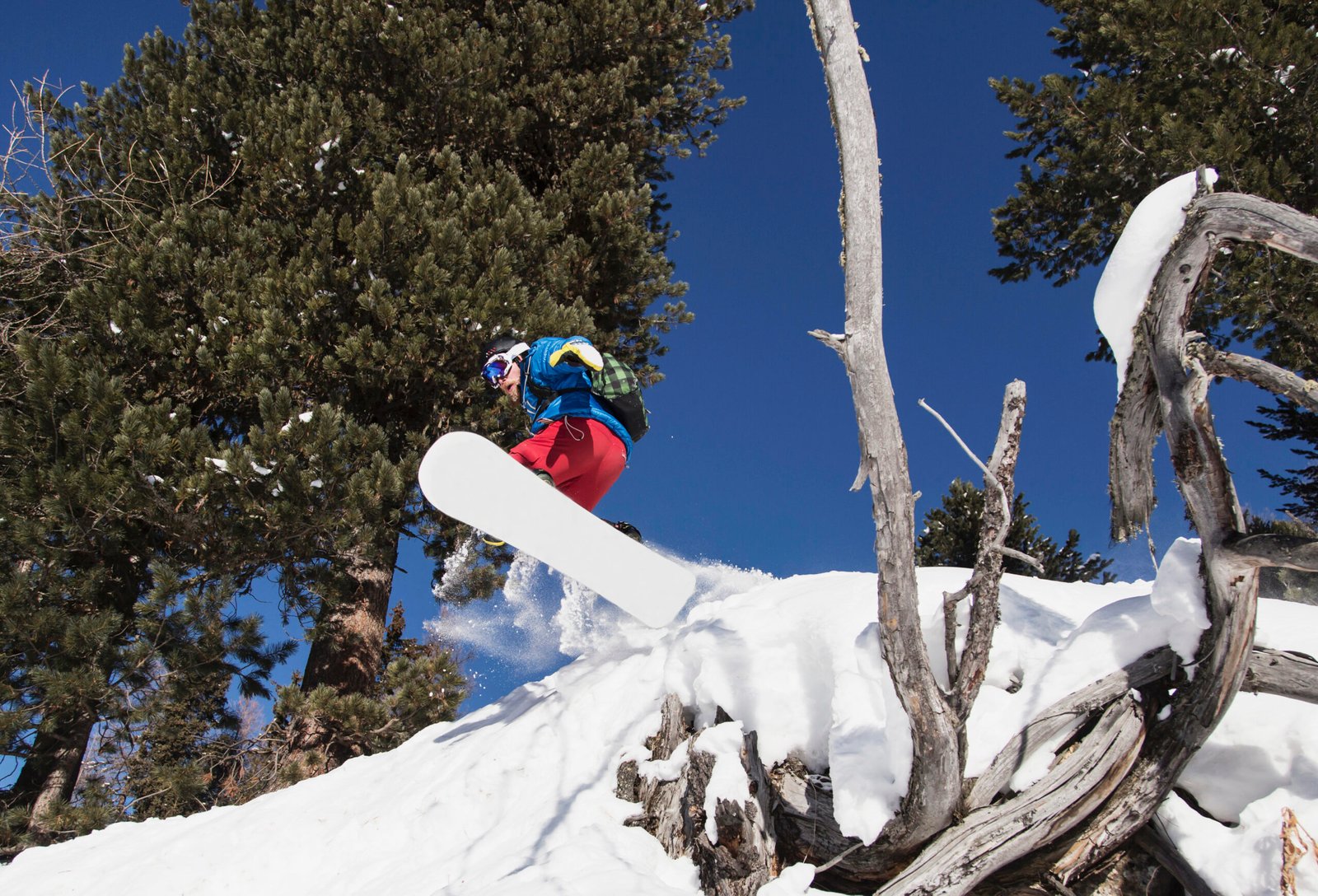 VIP Mountain Access: Exclusive Services at Mammoth Mountain