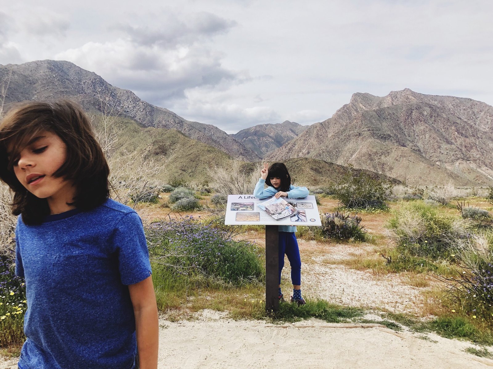 Palm Springs Educational Desert Adventures: Learning Through Exploration