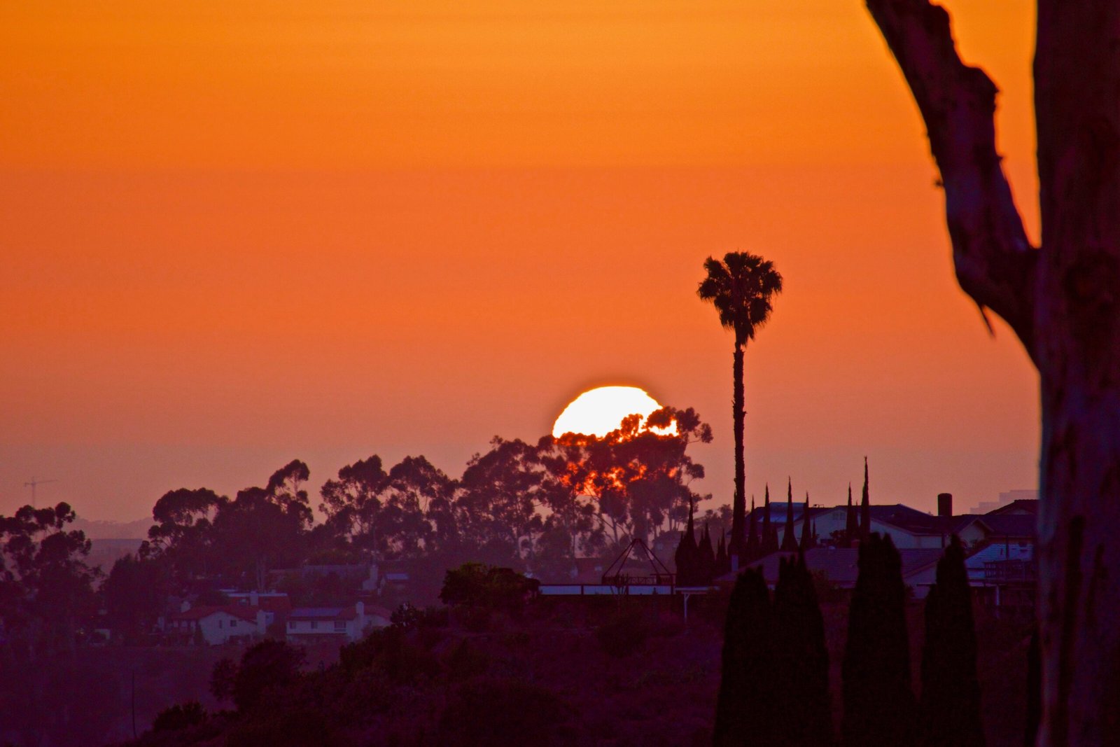 Mount Soledad: Where San Diego’s Most Spectacular Sunsets Paint the Sky Above La Jolla