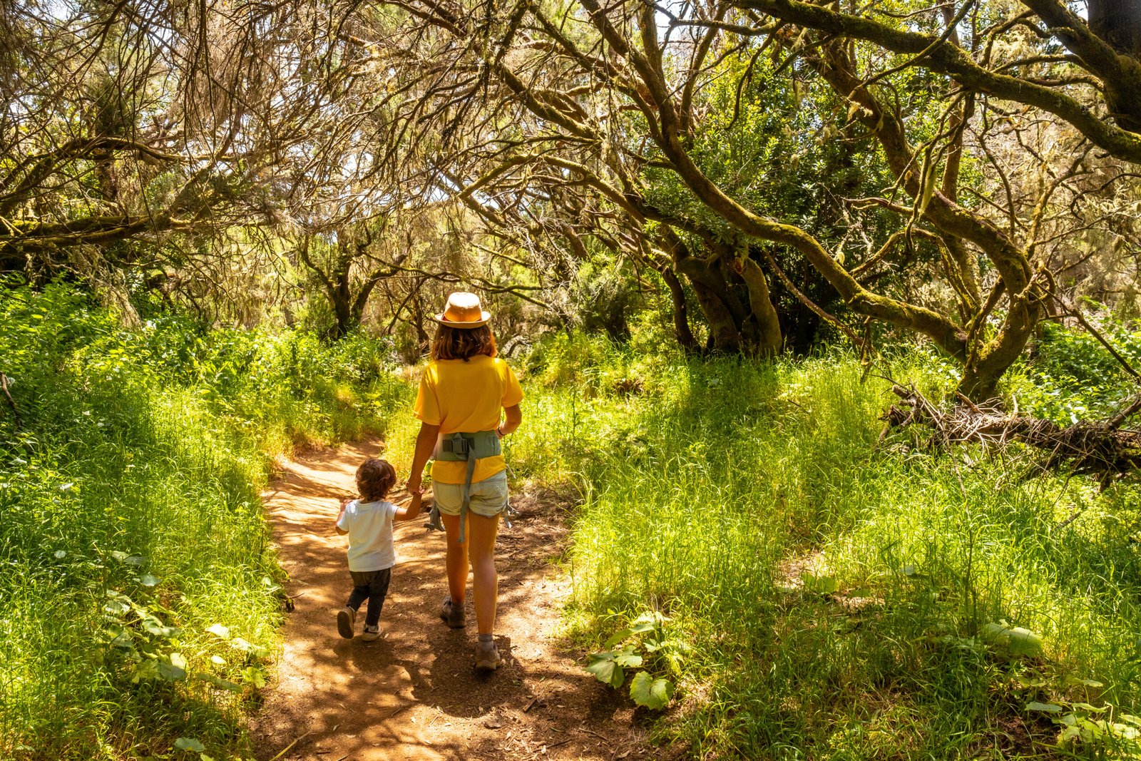 San Diego Family Hiking Trails That Won’t Exhaust the Little Ones