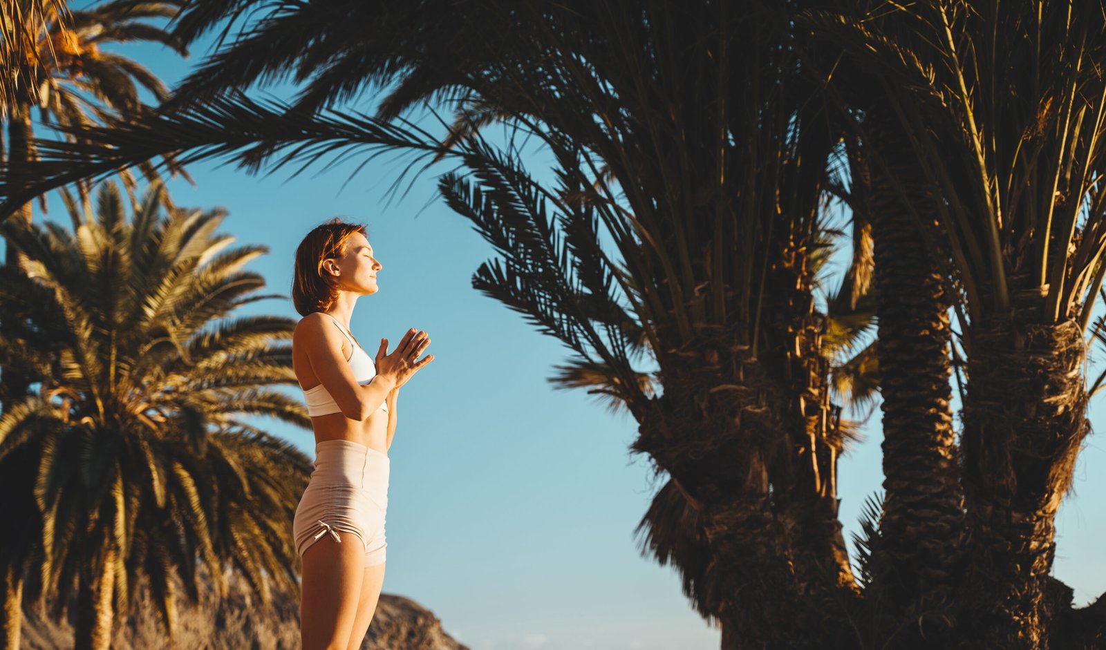 Palm Springs – Wellness Retreats in the Desert: Transform Your Mind, Body, and Soul