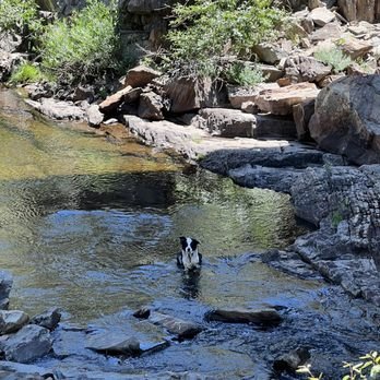 Truckee’s Best-Kept Secrets: Hidden Swimming Holes and Secret Trails