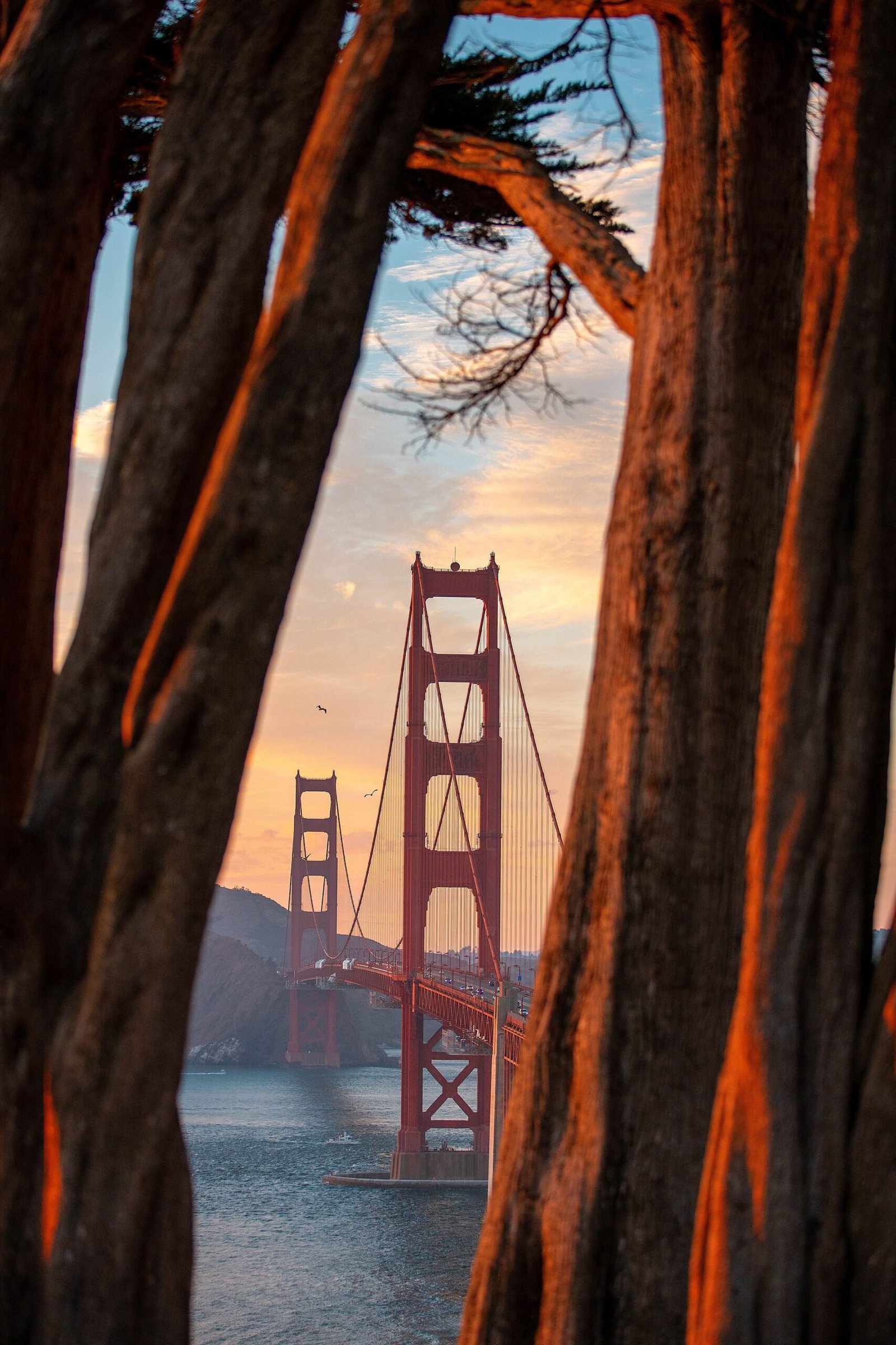 Fall Colors and Harvest Flavors: Autumn Adventures in San Francisco
