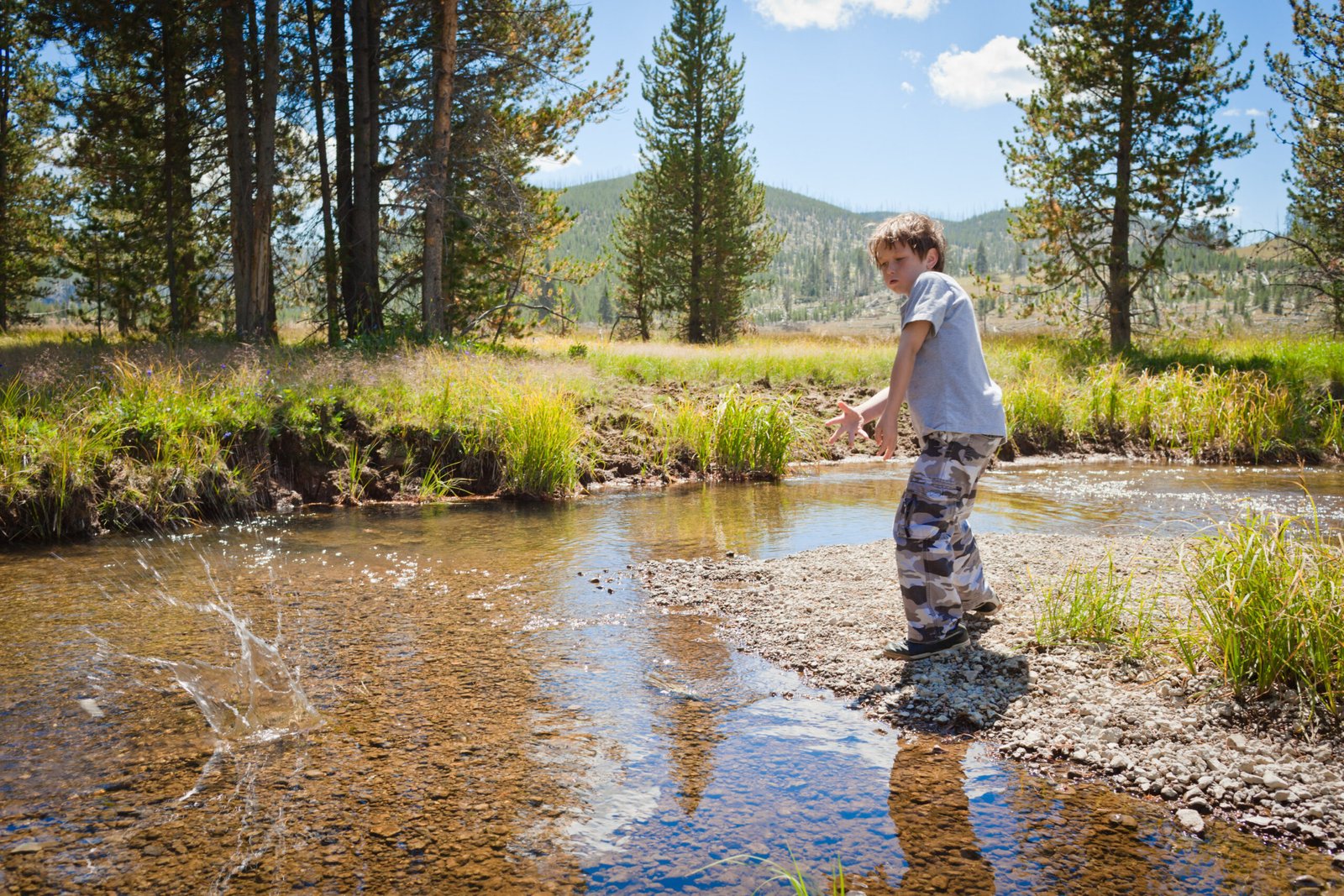 Creating Memories: The Ultimate Family Guide to Truckee’s Outdoor Playground