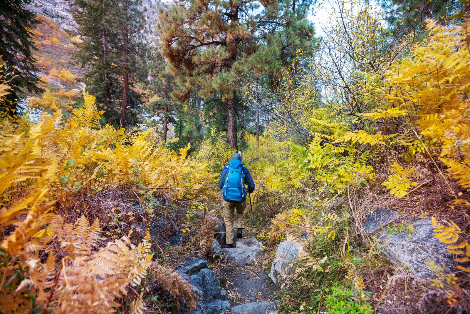 Truckee’s Epic Hiking Trails: From Beginner-Friendly to Expert-Only Routes