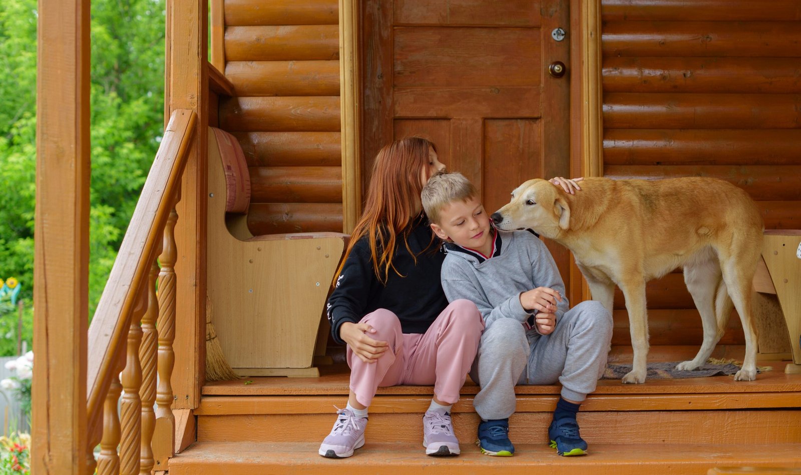 Truckee CA – Pet-Friendly Accommodations: Bringing Your Furry Friends Along