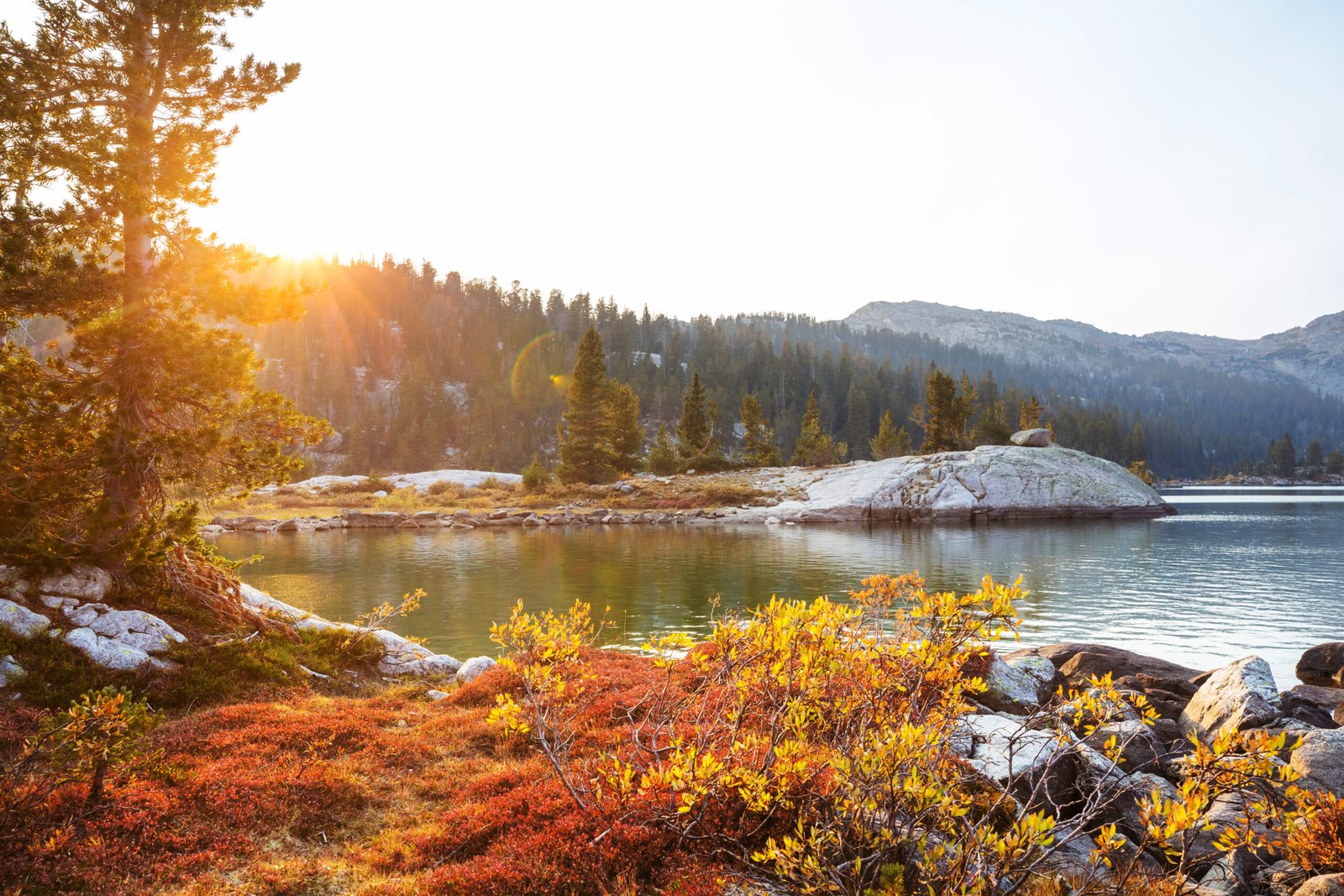 Truckee CA Fall Harvest: Where Mountain Magic Meets Autumn Splendor