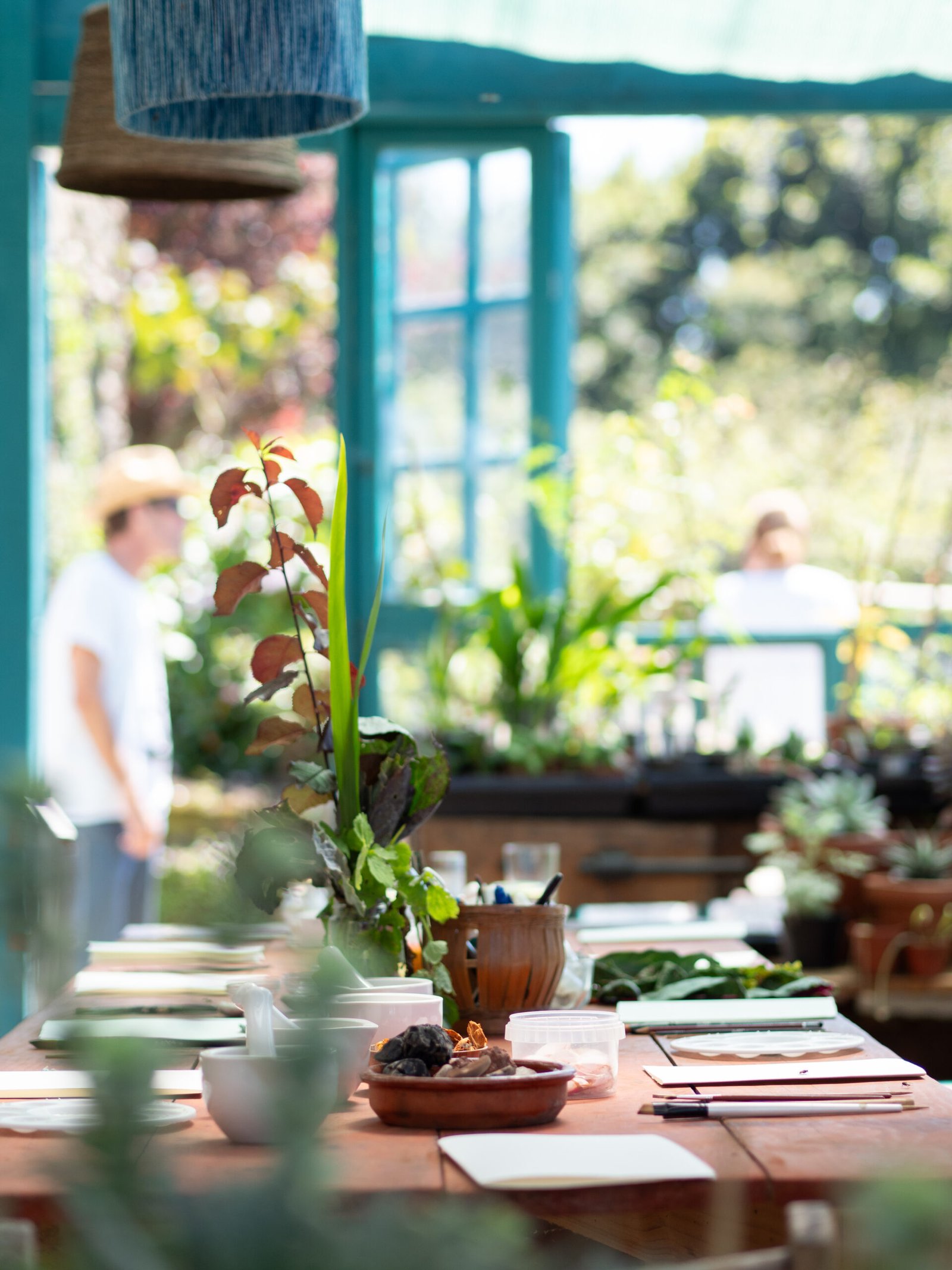 Farm-to-Table Perfection: San Francisco’s Sustainable Dining Scene